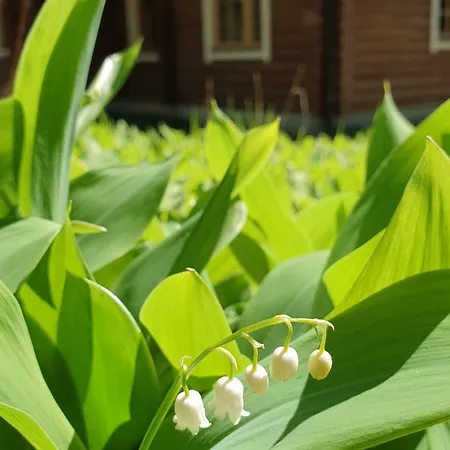 Вилла Loma-paelsilae Lakeside *