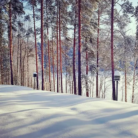 Willa Loma-paelsilae Lakeside Kuhmoinen