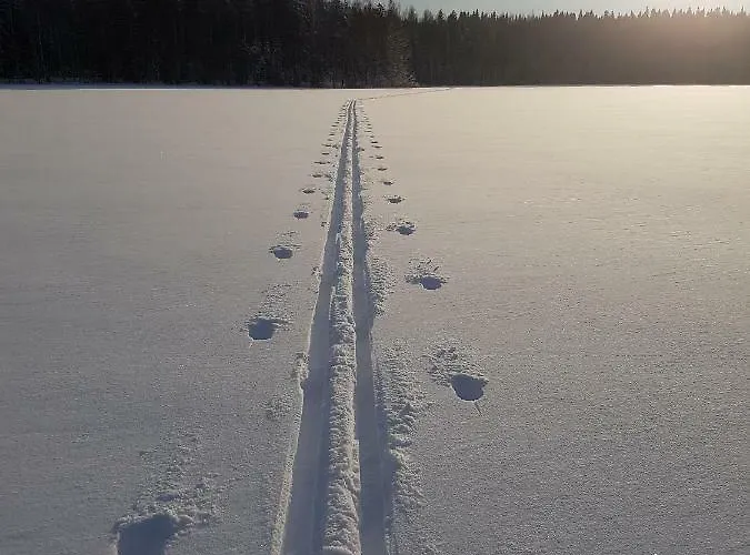Вилла Loma-paelsilae Lakeside